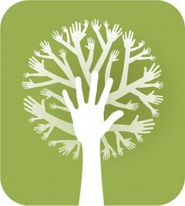 Charity Mailing Lists